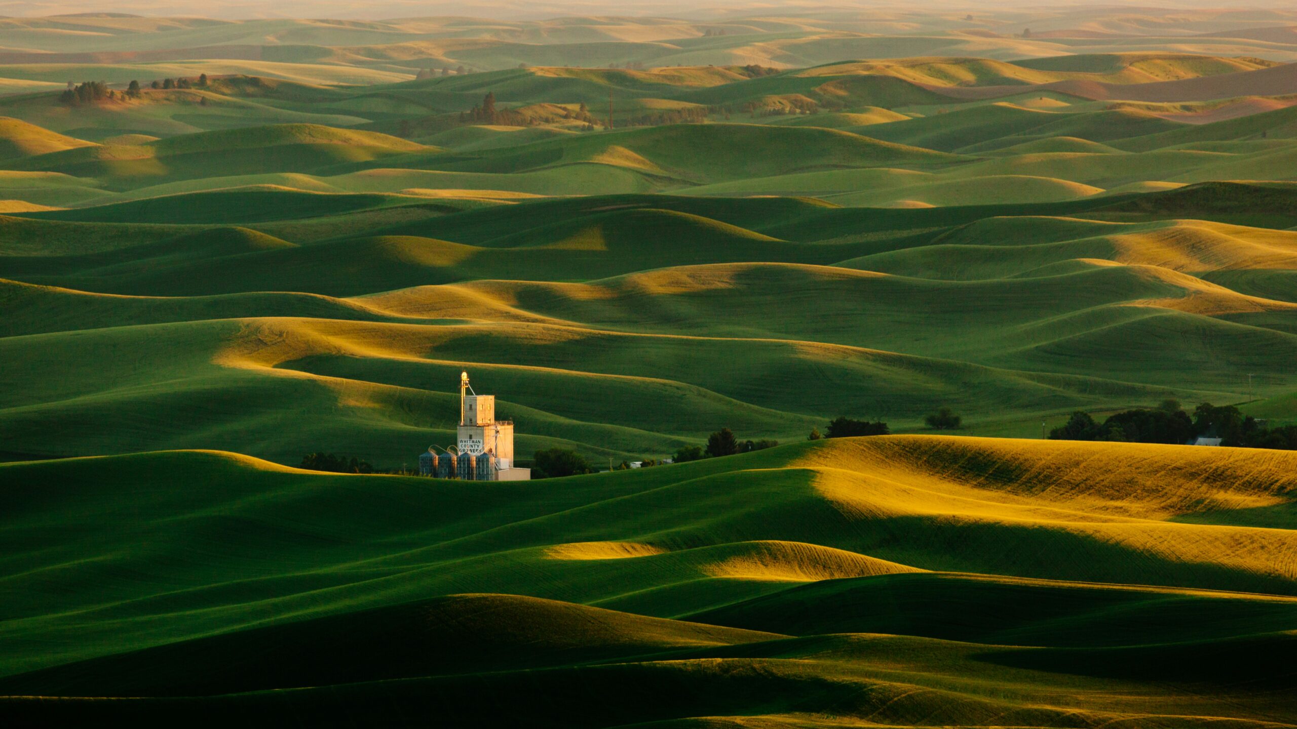 Palouse